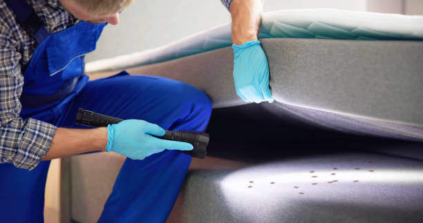 Best Termite Control Services  in Artesia, NM