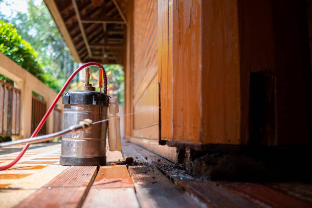 Best Wasp Removal Services  in Artesia, NM