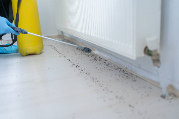 Best Pest Prevention Services  in Artesia, NM